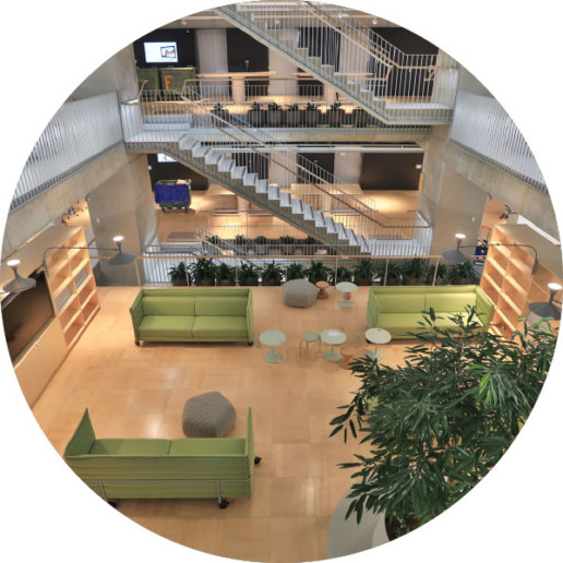 Concept+ Timber Features