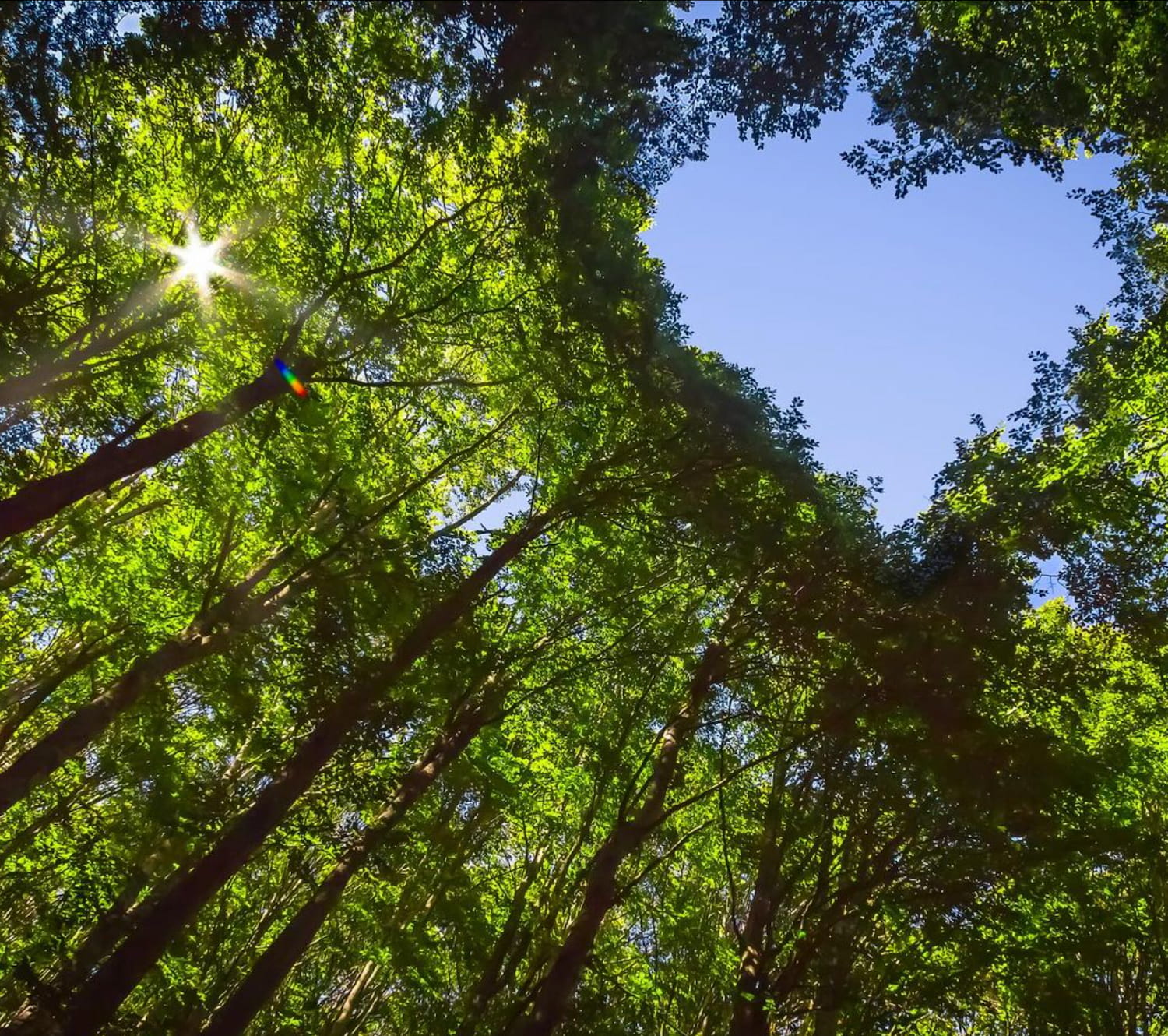 Focus On Continuos Improvement