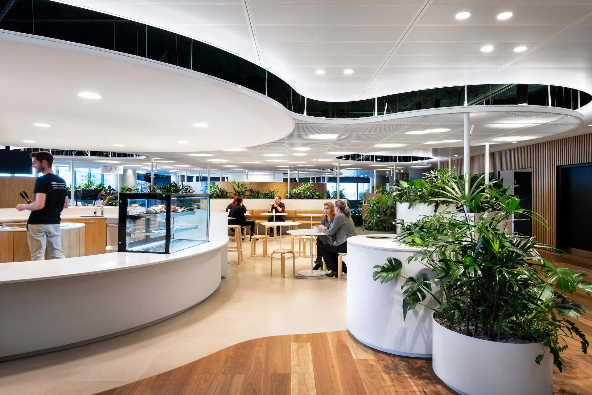 Carbon Neutral Solution